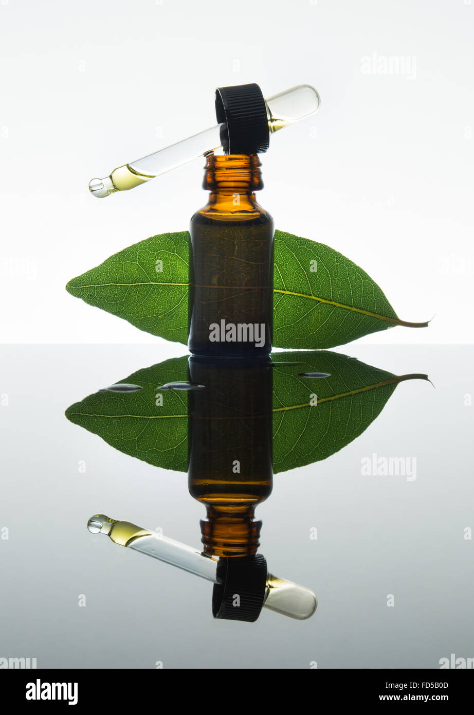Bay olio essenziale, bay olio, bay essenza, foglie di alloro, il vetro ambra flacone contagocce, Foto Stock