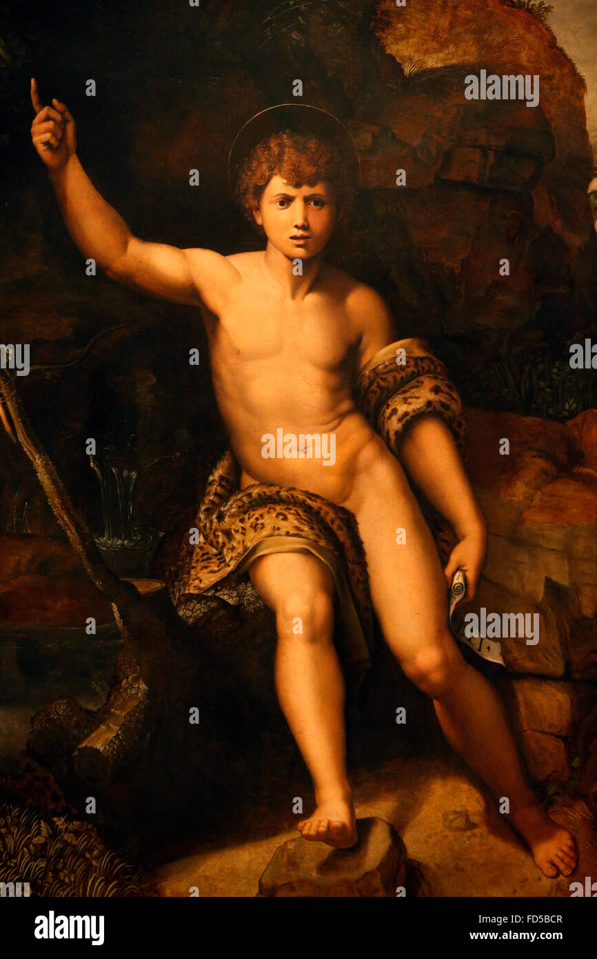 Galleria Nazionale di Bologna. San Giovanni Battista. Copia di Raffaello 1520/1530. Foto Stock