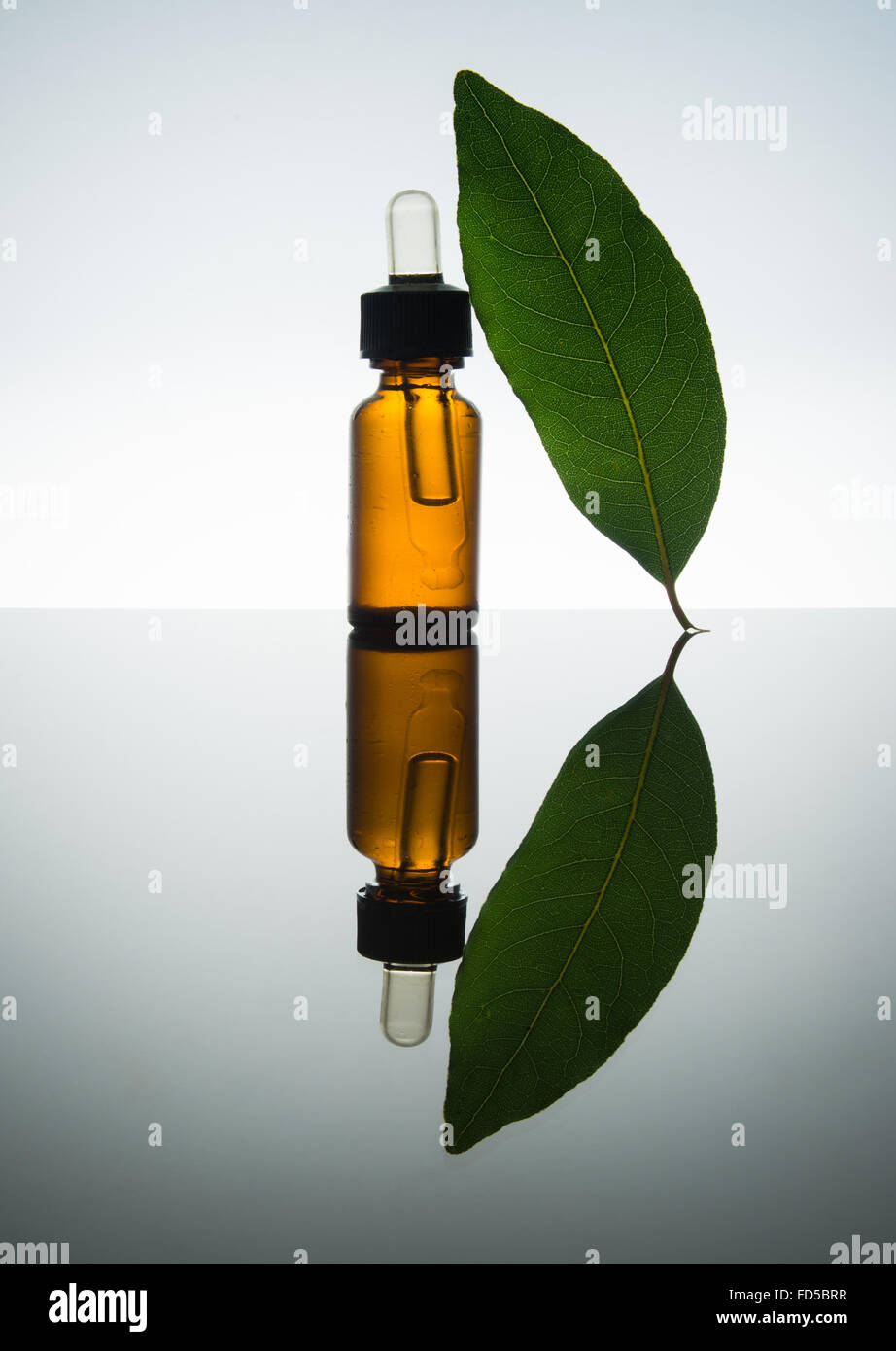 Bay olio essenziale, bay olio, bay essenza, foglie di alloro, il vetro ambra flacone contagocce, Foto Stock