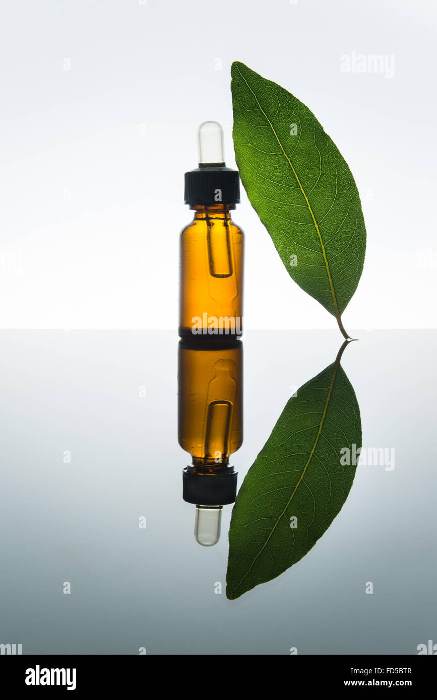 Bay olio essenziale, bay olio, bay essenza, foglie di alloro, il vetro ambra flacone contagocce, Foto Stock