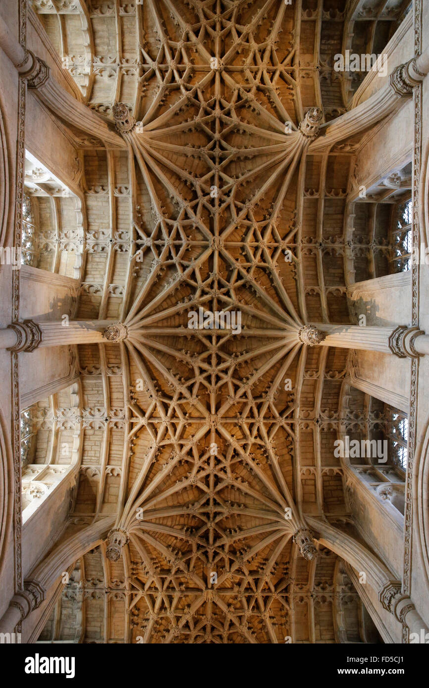 Oxford la cattedrale di Christ Church College di Oxford. Il soffitto della navata. Foto Stock