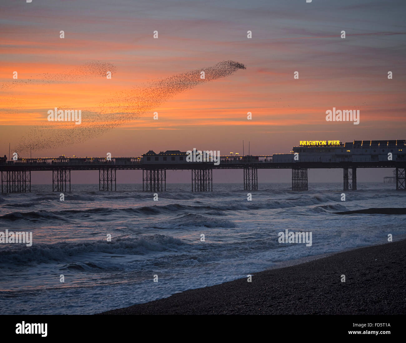 Murmuration di storni oltre il molo di Brighton come il sole tramonta Foto Stock