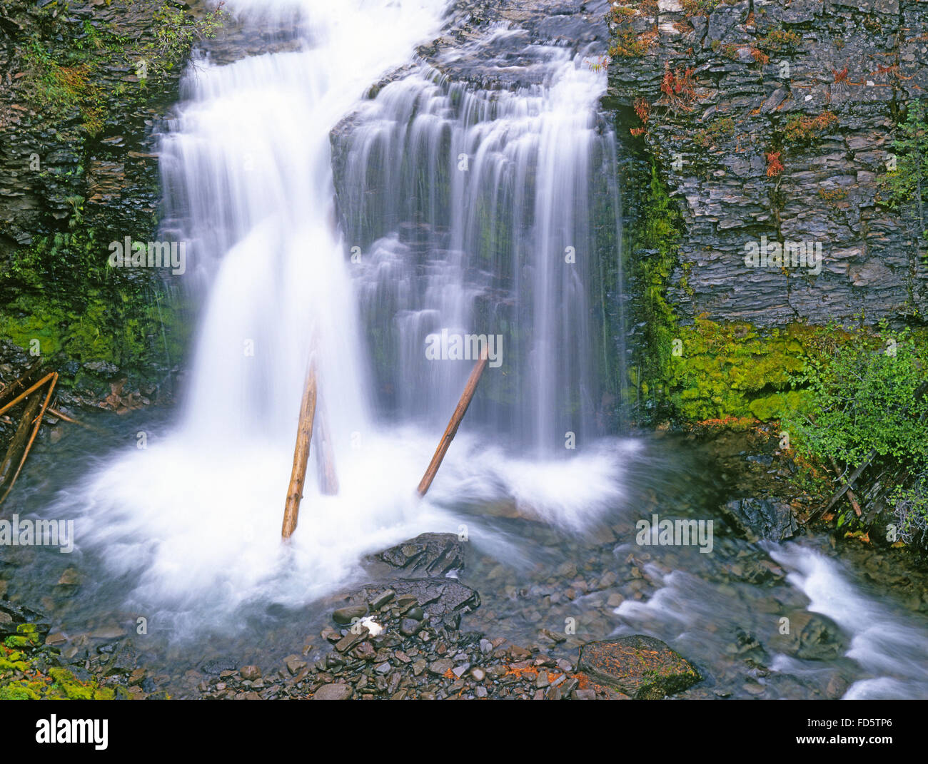 Tumalo superiore Creek Falls in Oregon Cascade Mountains vicino a Bend, Oregon Foto Stock