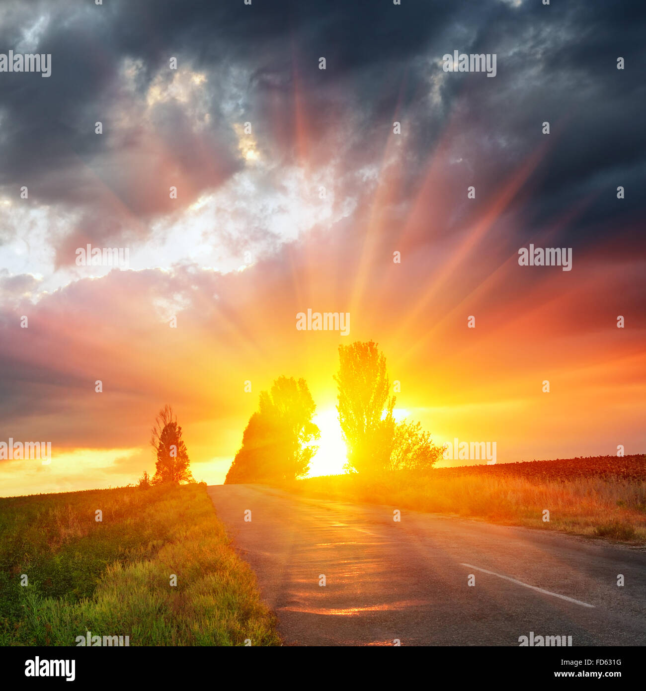 Vecchia strada in un campo contro un tramonto spettacolare Foto Stock