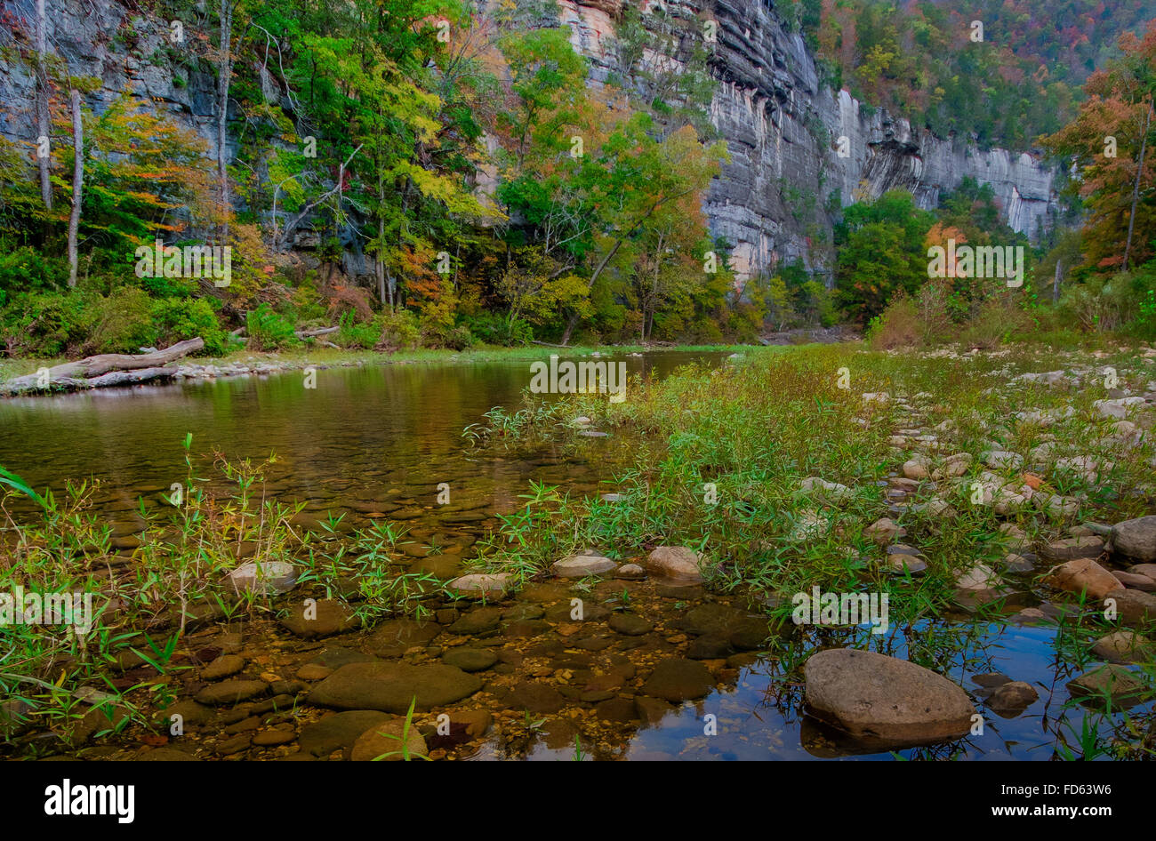 I colori dell'autunno in Buffalo fiume nazionale lungo le scogliere Roark Foto Stock