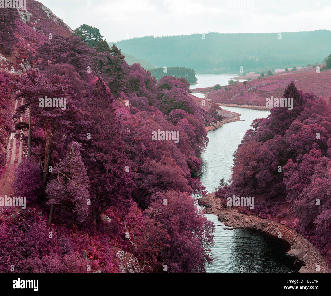 Straordinaria realtà alternativa colorata foresta di fantasia e paesaggio fluviale Foto Stock