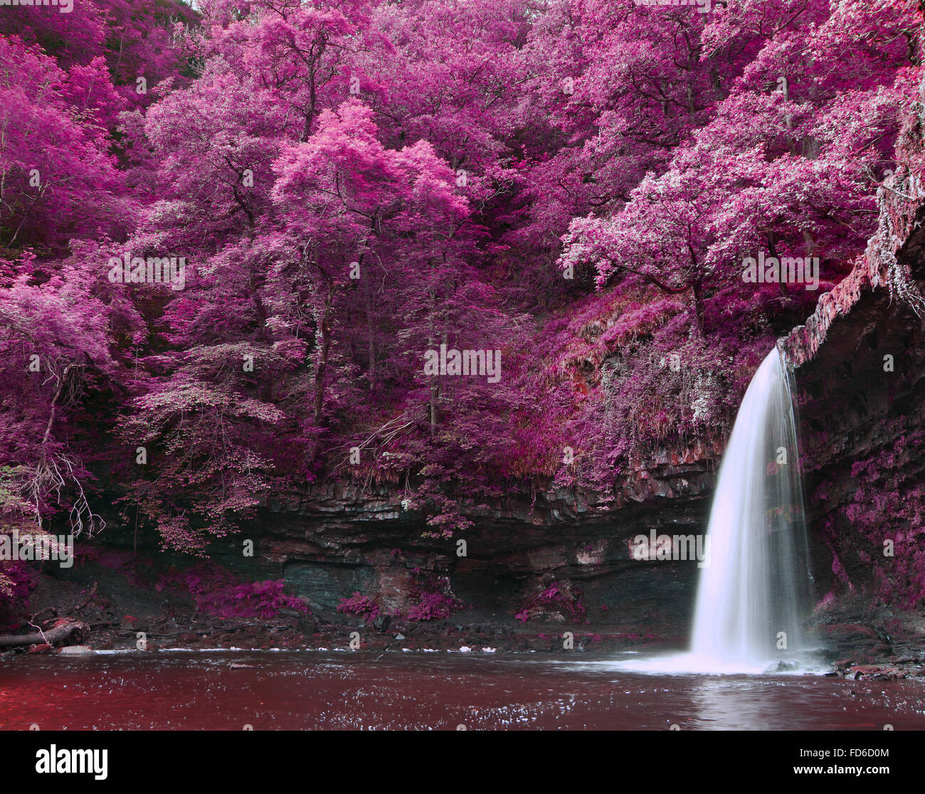Straordinaria realtà alternativa colorata foresta di fantasia e paesaggio fluviale Foto Stock