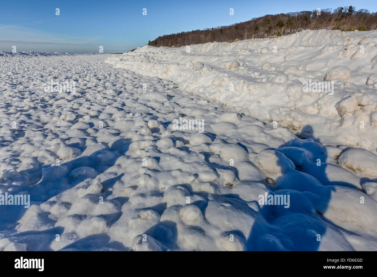 Le sfere di ghiaccio formato nel surf, quindi congelati a bordo del lago Michigan, Rosy Tumulo Area naturale, vicino al Grand Haven, Michigan, Stati Uniti d'America Foto Stock