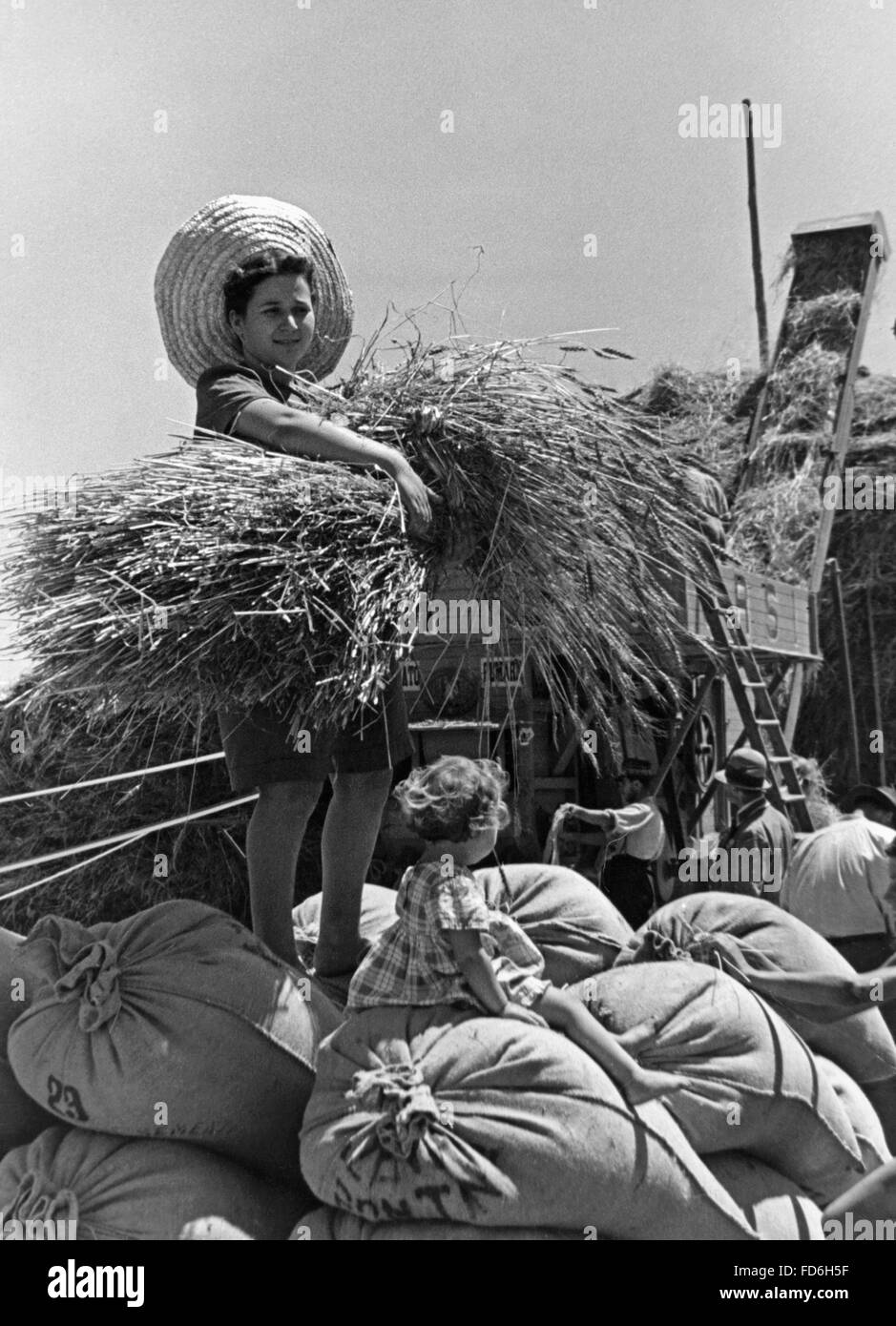 Giovani femmine colono in italiano la Libia durante il raccolto di grano, 1930 Foto Stock