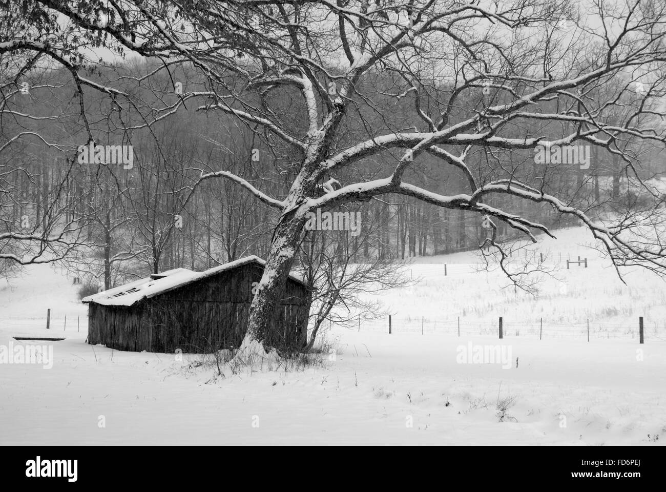 Bella immagine di un vecchio fienile in legno in un campo nevoso. Foto Stock