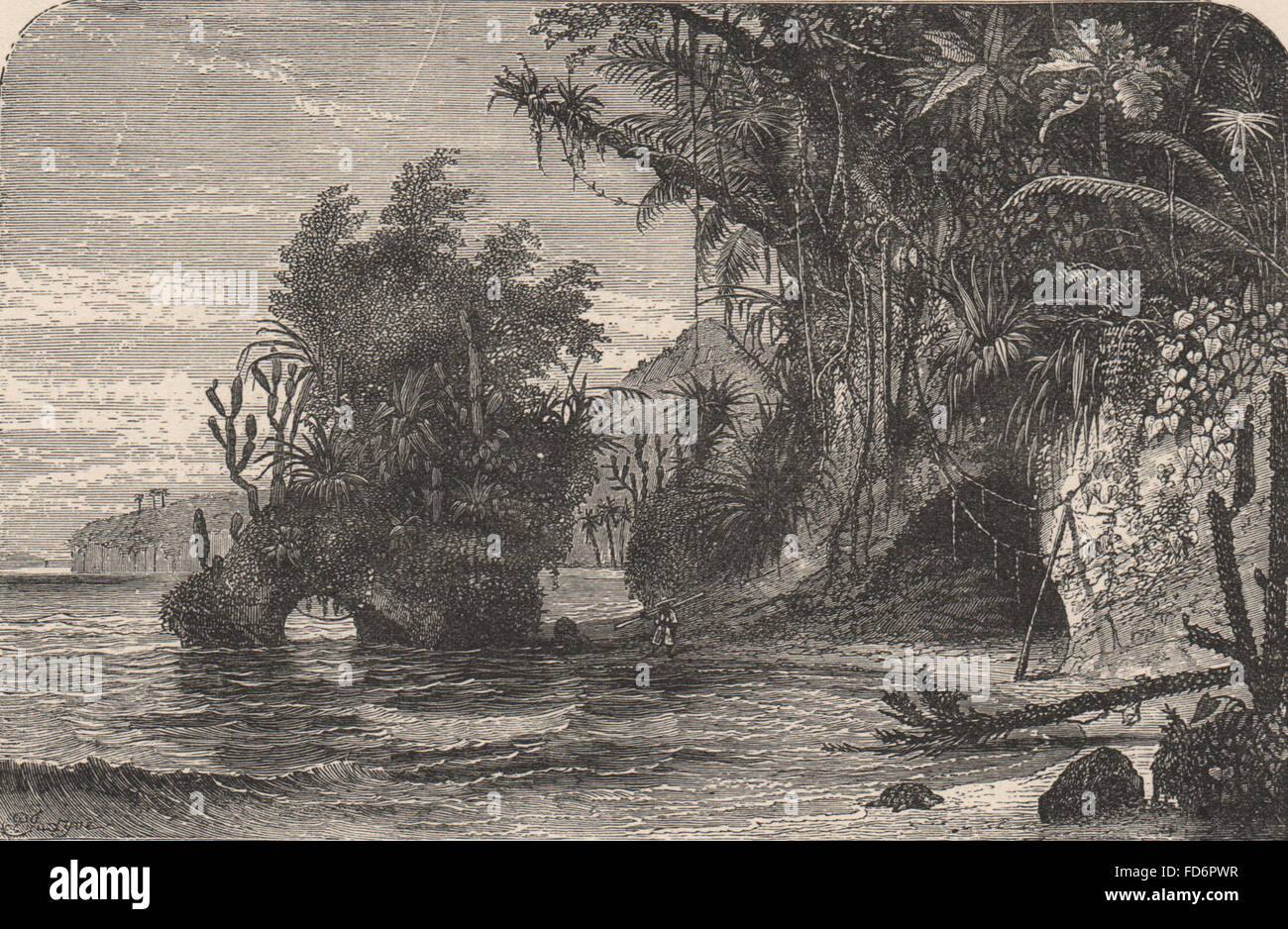 Caraibi: una spiaggia tropicale, antica stampa 1882 Foto Stock