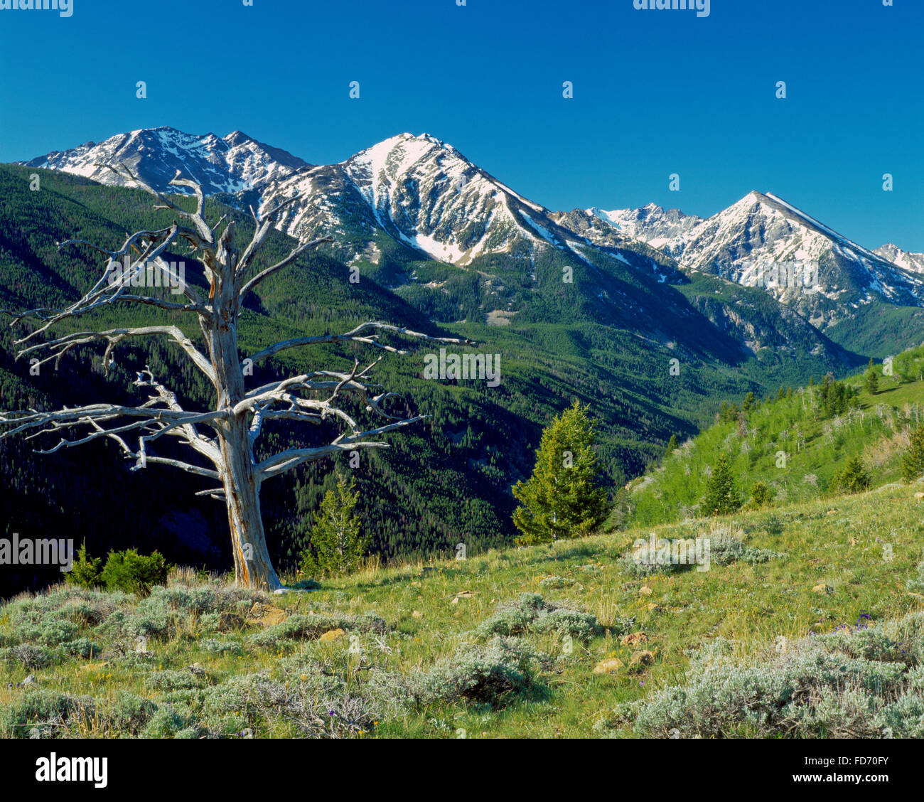 Picchi di spagnolo del madison intervallo al di sopra della forcella sud spagnolo Creek Valley in lee metcalf deserto vicino a Big Sky, montana Foto Stock