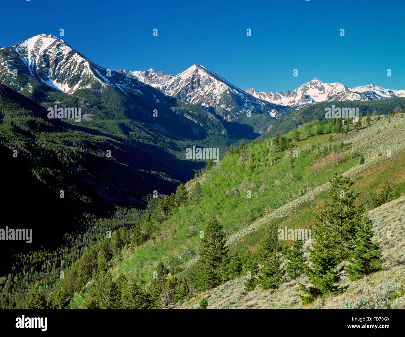 Picchi di spagnolo del madison intervallo al di sopra della forcella sud spagnolo Creek Valley in lee metcalf deserto vicino a Big Sky, montana Foto Stock