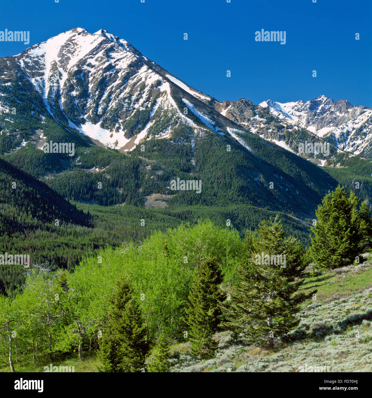 Picchi di spagnolo del madison intervallo al di sopra della forcella sud spagnolo Creek Valley in lee metcalf deserto vicino a Big Sky, montana Foto Stock