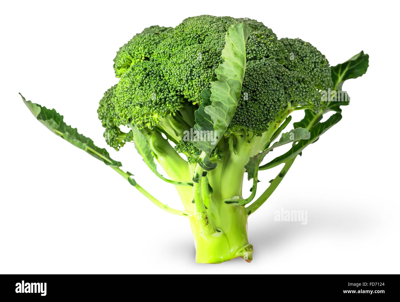 Grandi infiorescenze di broccoli freschi con foglie isolati su sfondo bianco Foto Stock