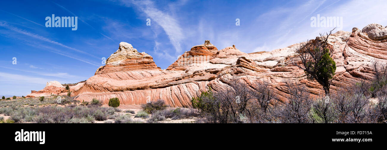 Scena dalla tasca bianco area geologica di Vermillion Cliffs National Monument, Arizona. Foto Stock