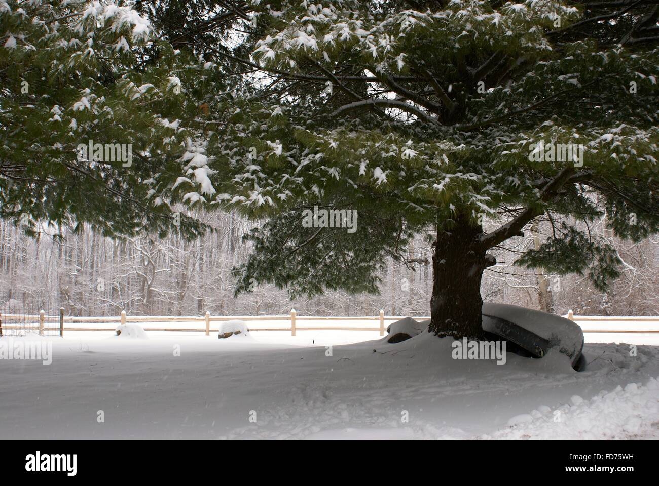 Neve invernale Foto di alberi con una staccionata di legno nel retro terra e una canoa sotto un albero coperto di neve. Foto Stock