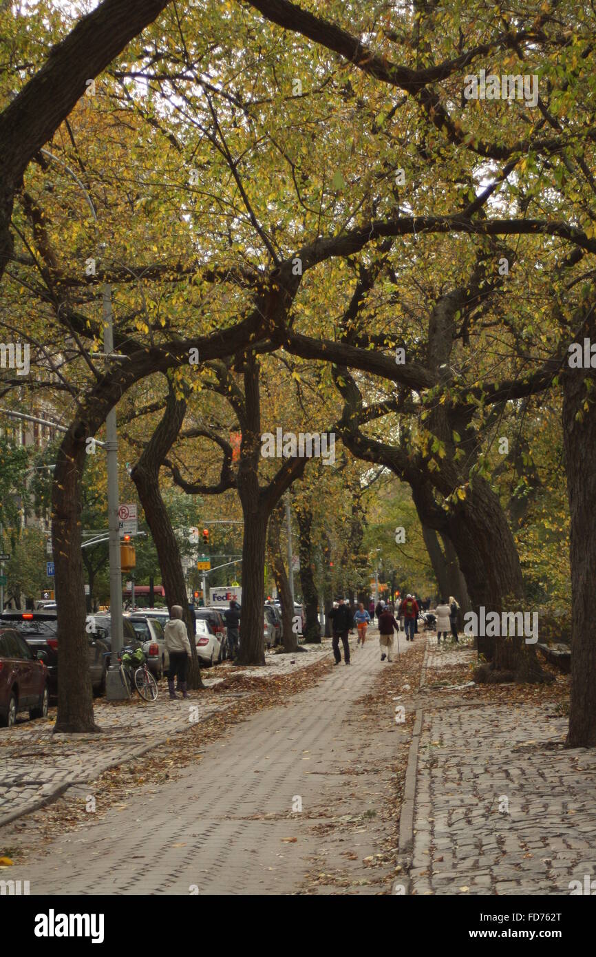 Una passeggiata lungo la Quinta Avenue in autunno Foto Stock