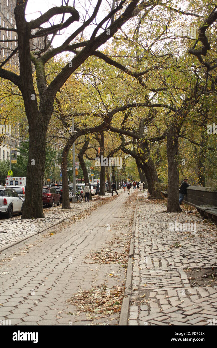 Una passeggiata lungo la Quinta Avenue in autunno Foto Stock
