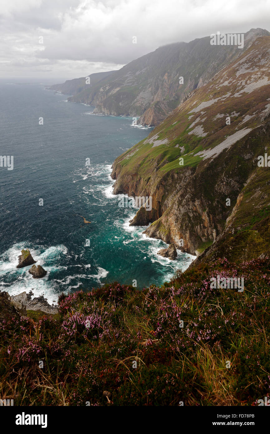 Slieve League (Irish: Sliabh Liag) - a 601 metri (1,972 ft), le più alte scogliere sul mare in Irlanda Foto Stock