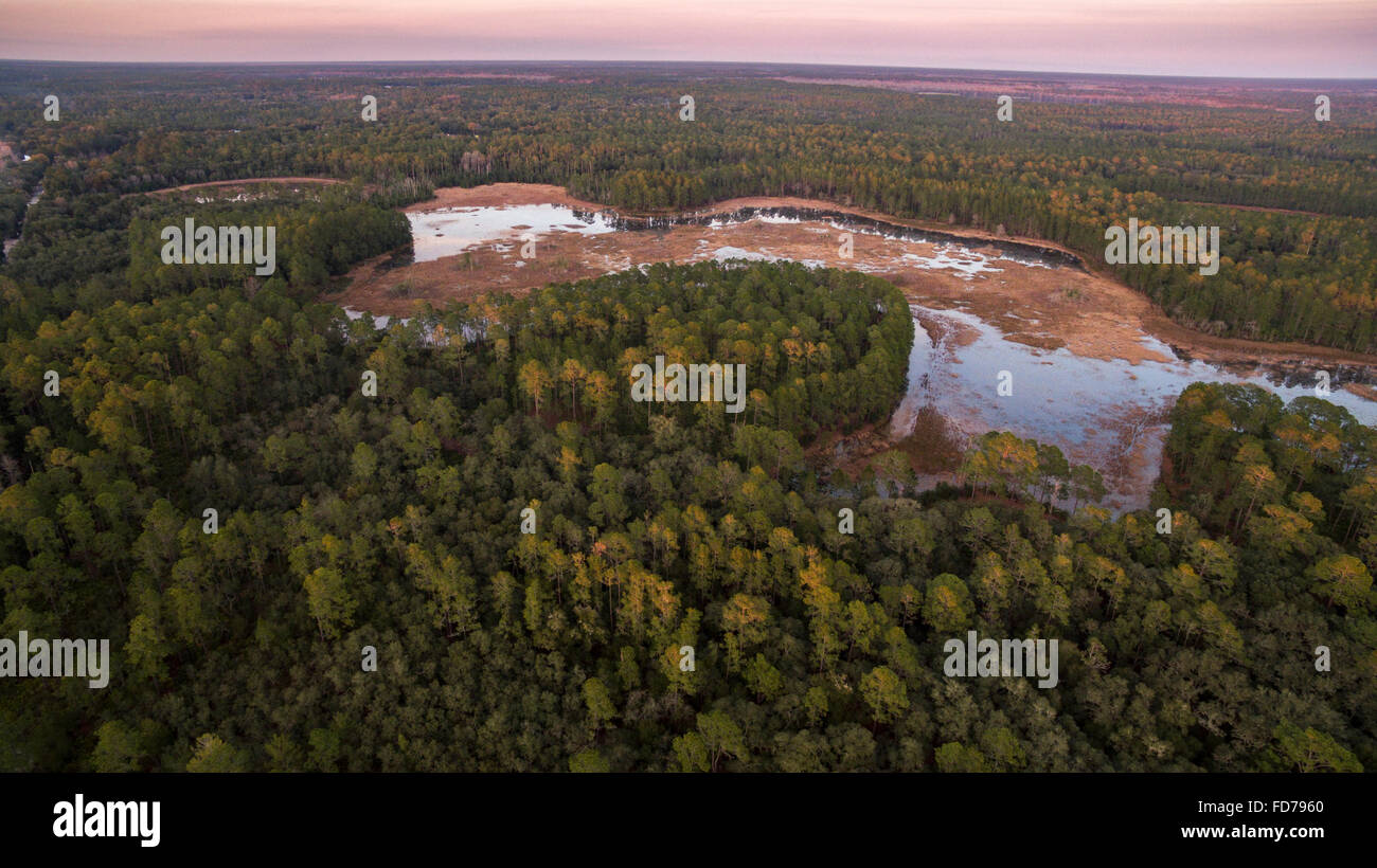 Vista aerea della chiesa area lacustre, Ocala National Forest, FL Foto Stock