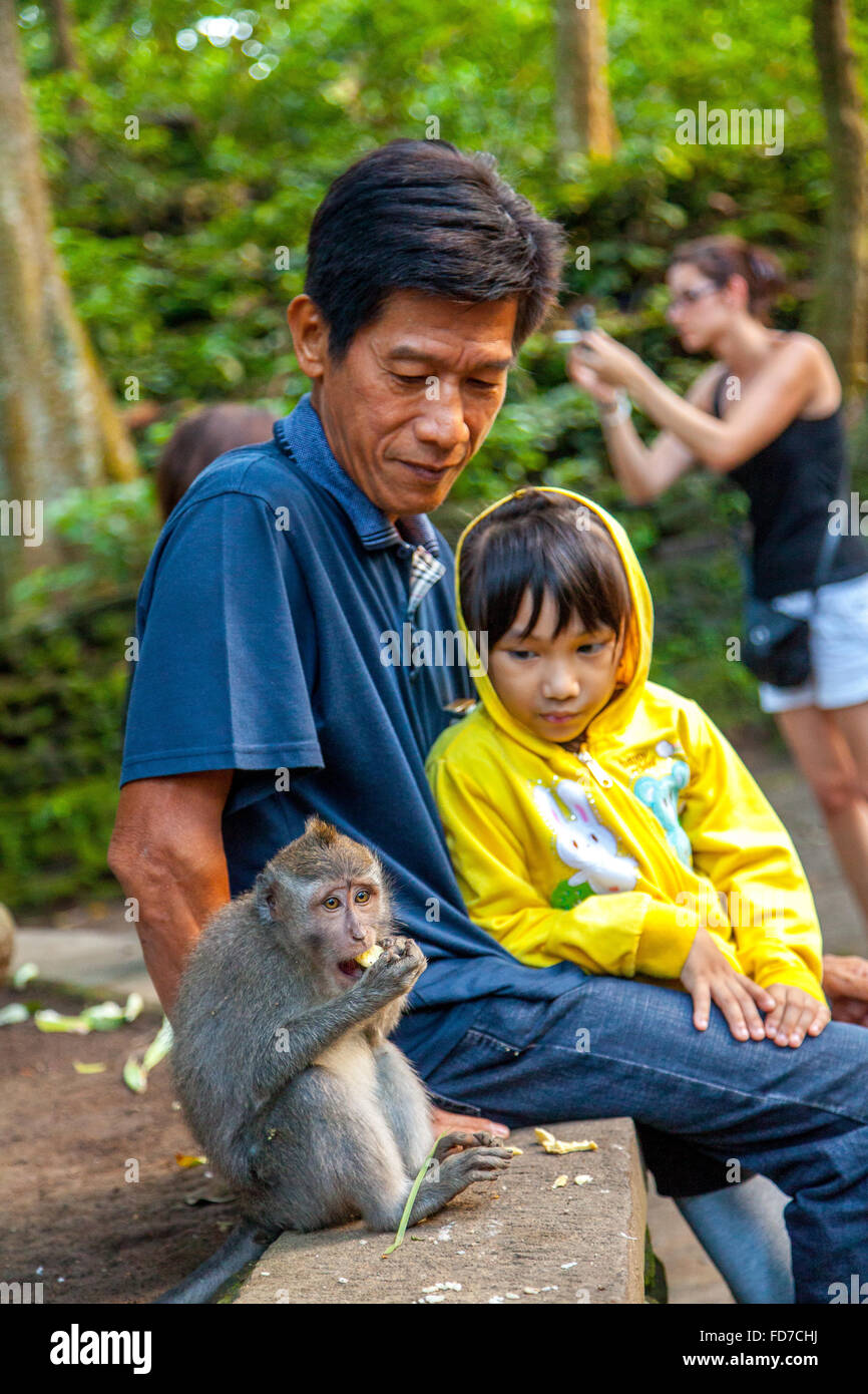 Lunga coda Macaque (Macaca fascicularis), turisti e scimmie, monkey baby, muro di pietra, sacro Santuario della Foresta delle Scimmie, Padang Foto Stock