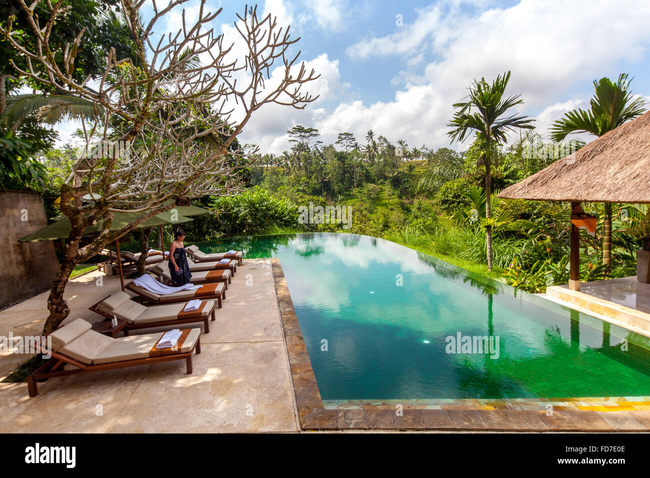 Hotel resort con piscina e palme, Ubud, Bali, Indonesia, Asia Foto Stock