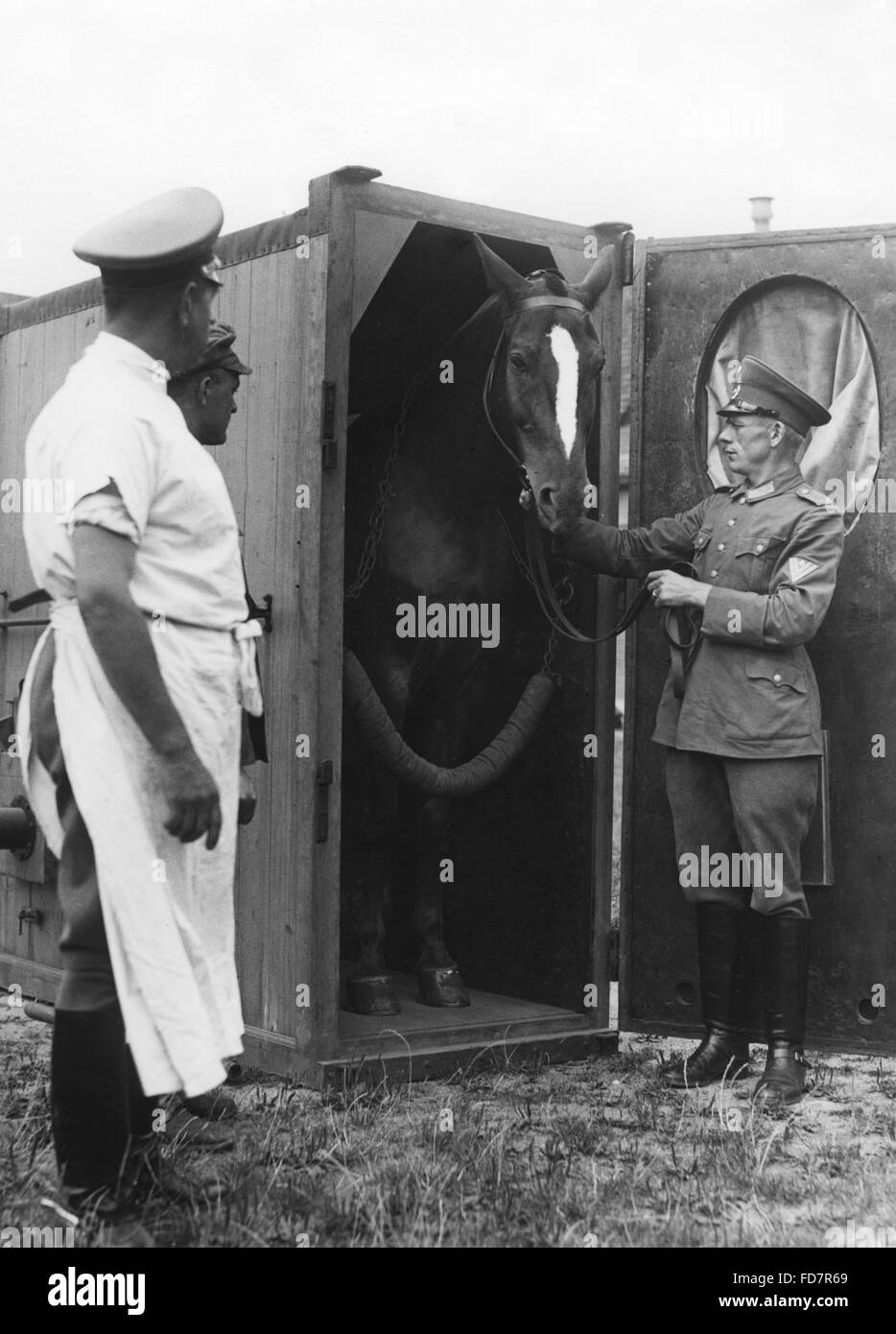 Un trooper della Reichswehr delousing un cavallo nel 30s Foto Stock
