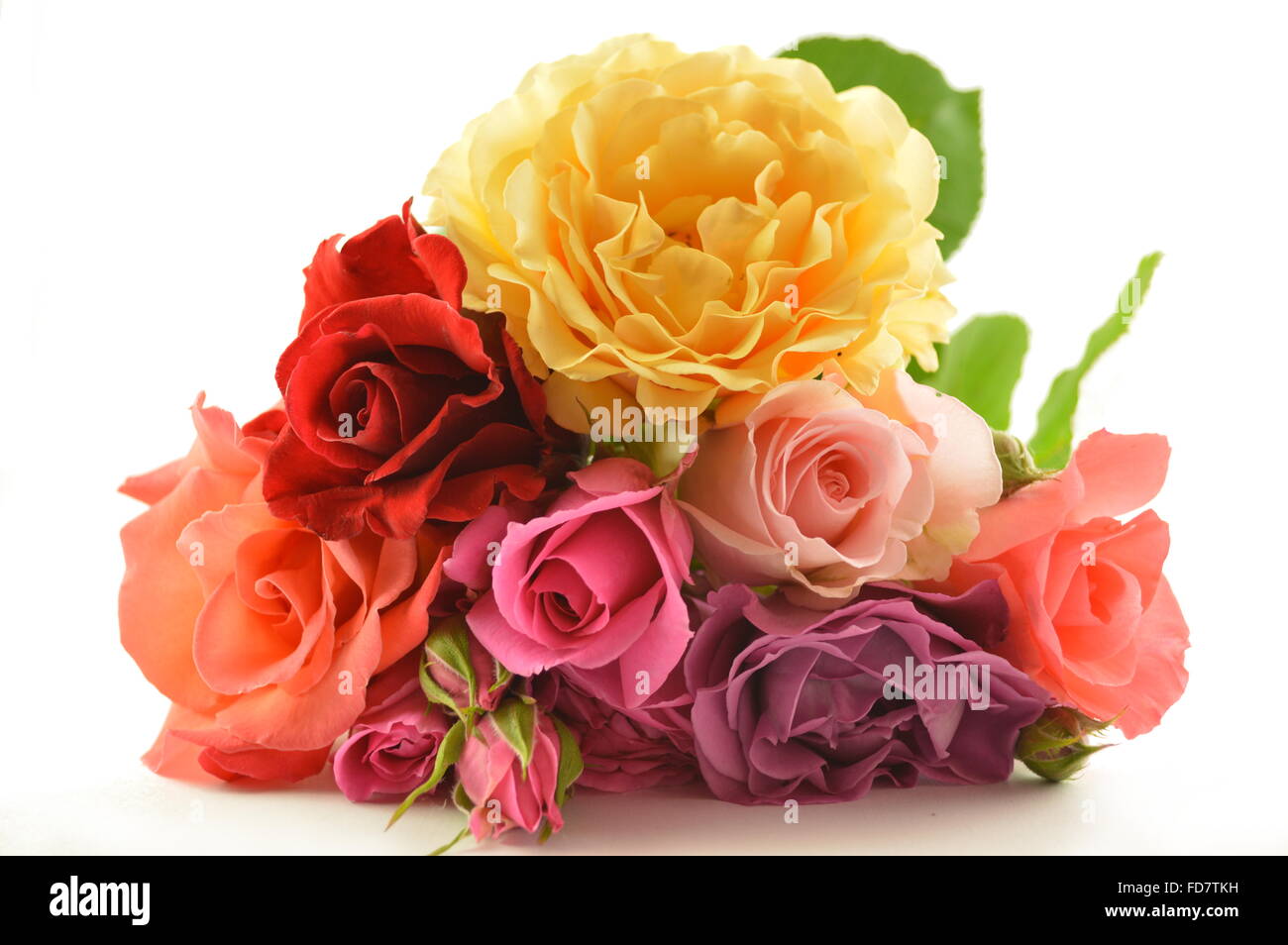 Decorativi fiori di primavera Foto Stock