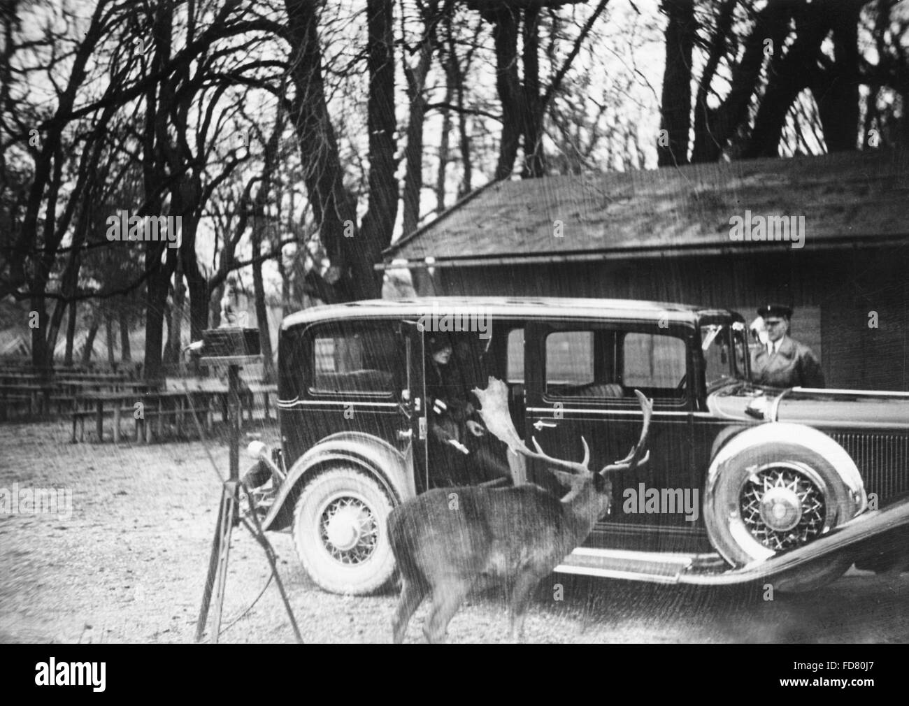 La regina Maria di Iugoslavia per il Hirschgarten a Monaco di Baviera, 1931 Foto Stock