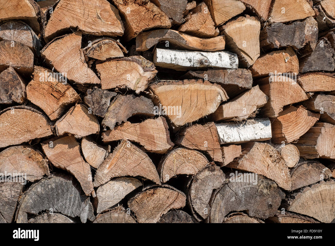 Pila di ordinatamente disposte di legna da ardere pronto per l'inverno Foto Stock