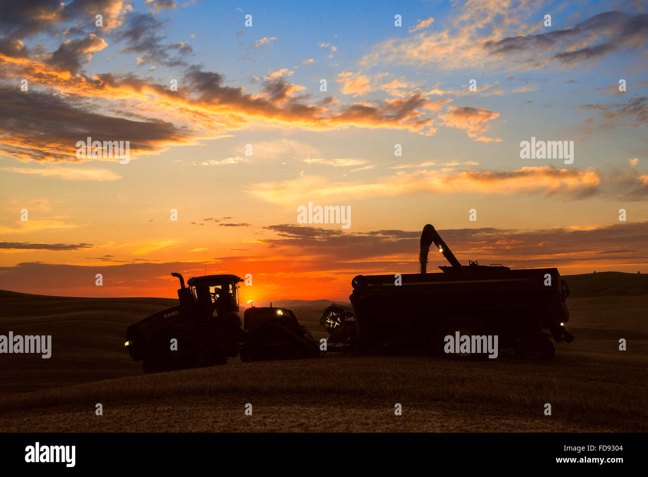 Custodia combina la raccolta di frumento nel Palouse regione orientale di Washington Foto Stock