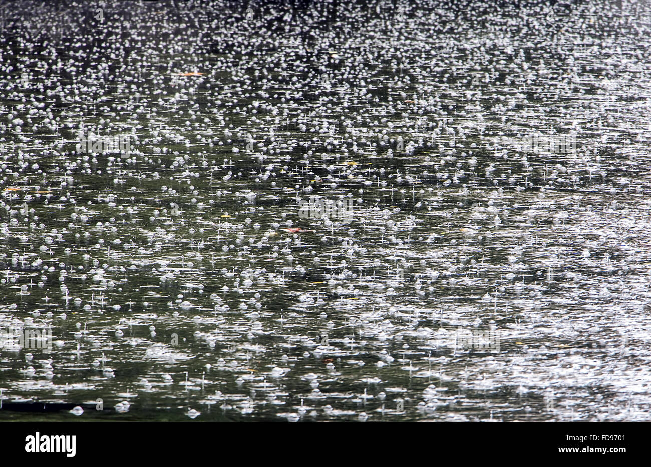 Pioggia rende le bolle sulla superficie del canale per acqua Foto Stock