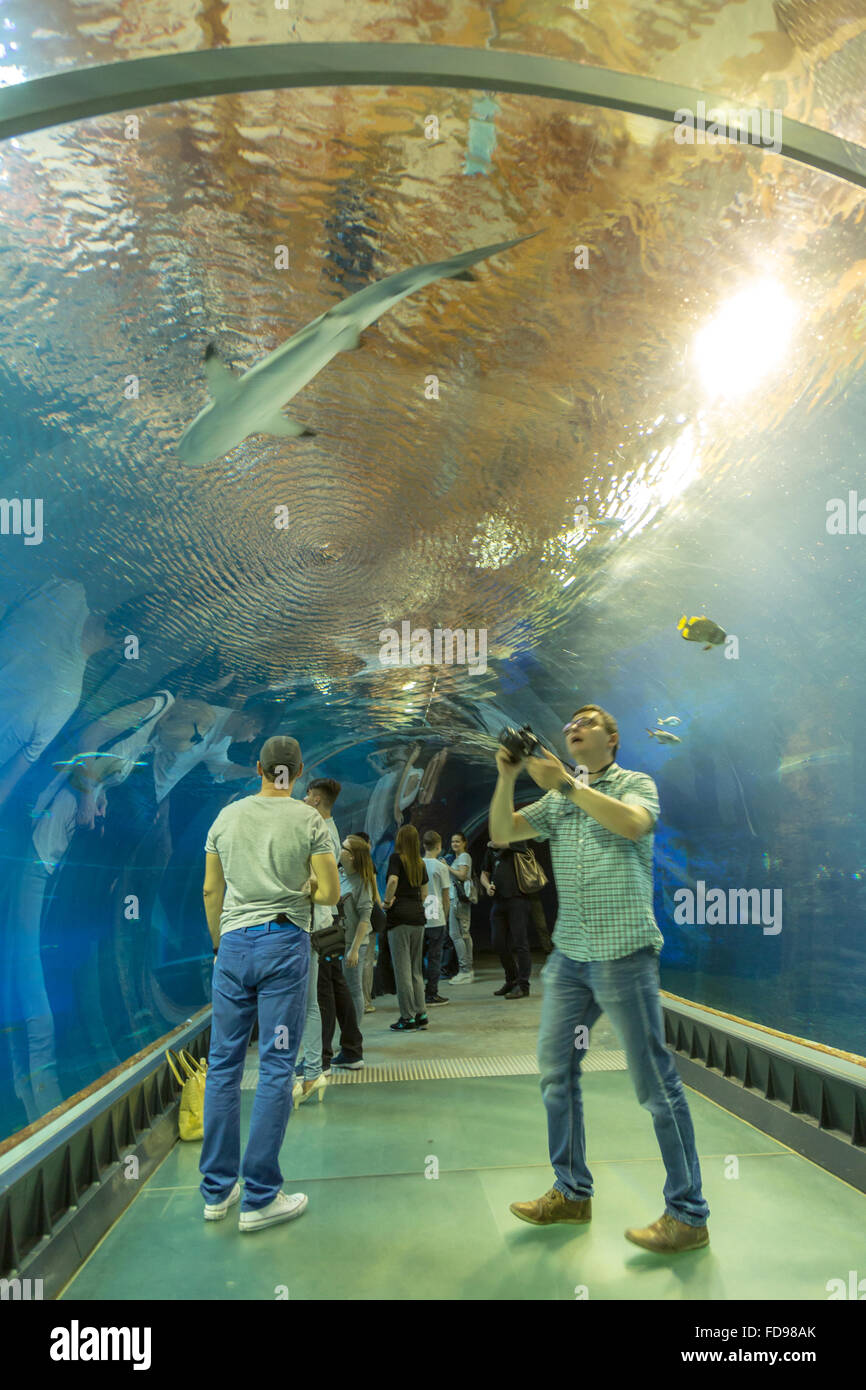 Wroclaw, Polonia, Acquario di fondo del Afrykarium a Wroclaw Zoo Foto Stock