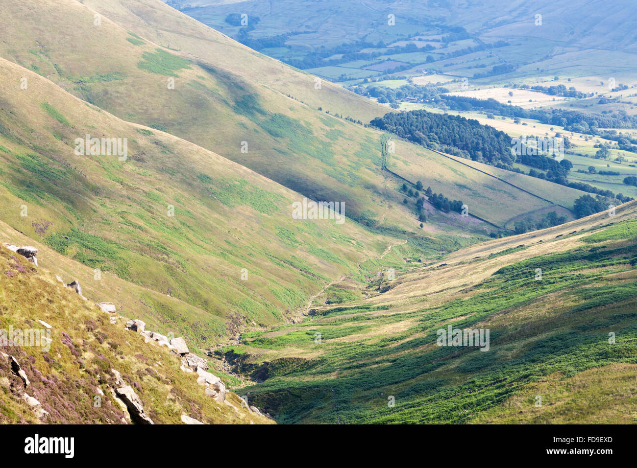 Derbyshire campagna. Crowden Clough e parte della valle di Edale in estate visto da Kinder Scout, Derbyshire, Peak District, England, Regno Unito Foto Stock