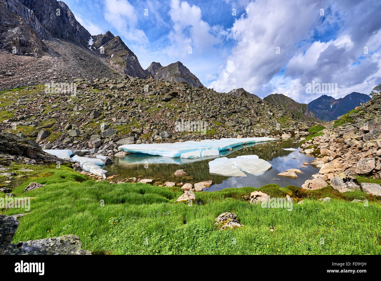 Prato alpino con le cipolle verdi a un piccolo lago con ghiaccio. Sayan orientale . La Russia Foto Stock