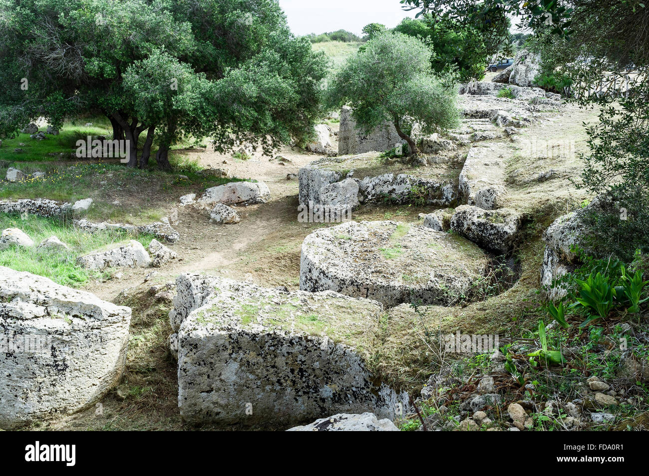 Cava nei pressi di Selinunte dove la pietra per la costruzione di templi è stato tagliato, Sicilia Foto Stock