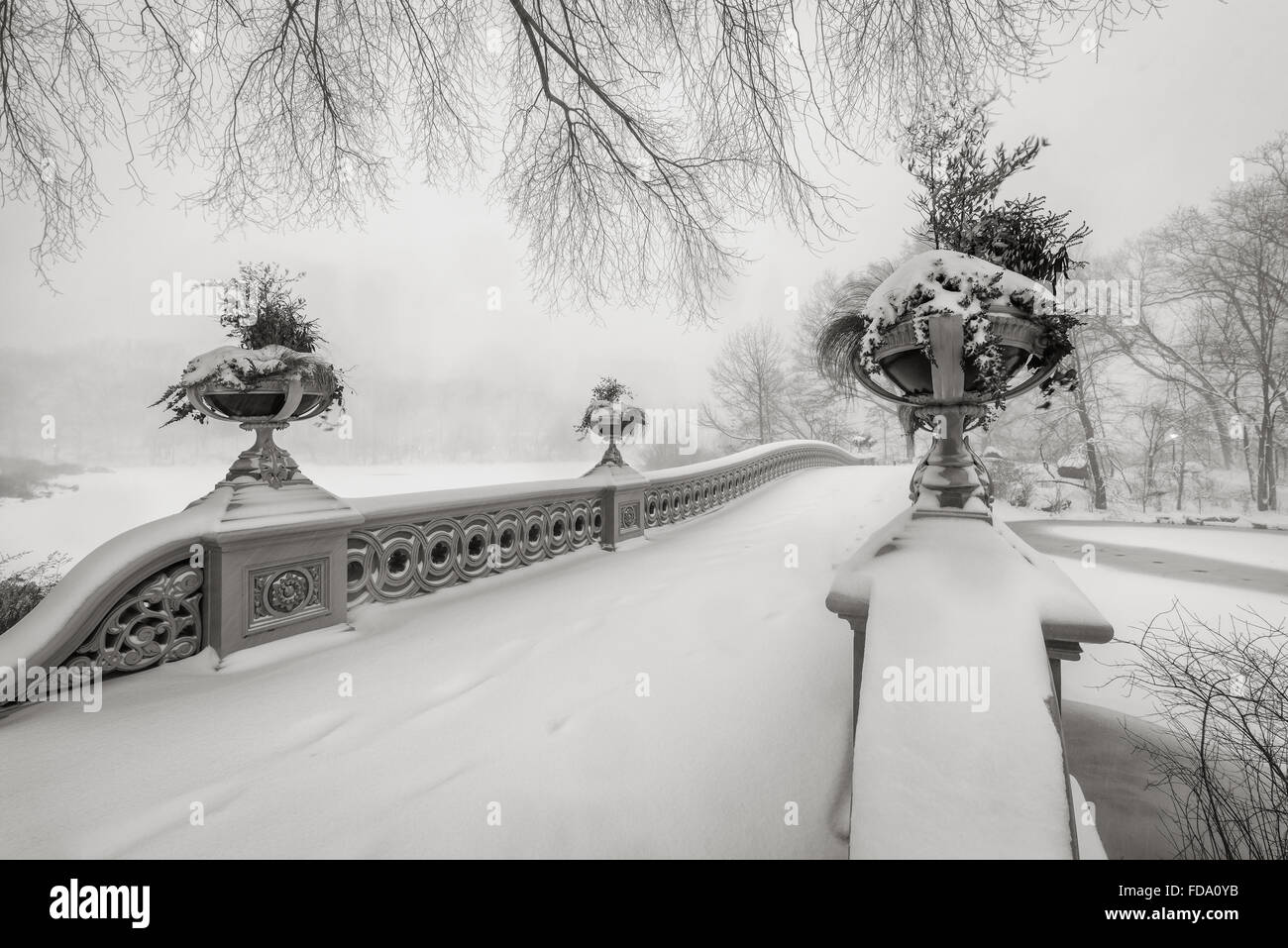 Bianco & Nero vista del ponte di prua nel parco centrale coperto di neve durante il blizzard di gennaio 2016. Manhattan, New York Foto Stock