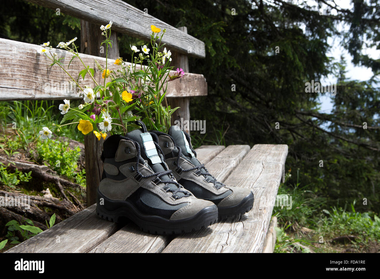 Scarpe da trekking con fiori su un banco, estate Foto Stock