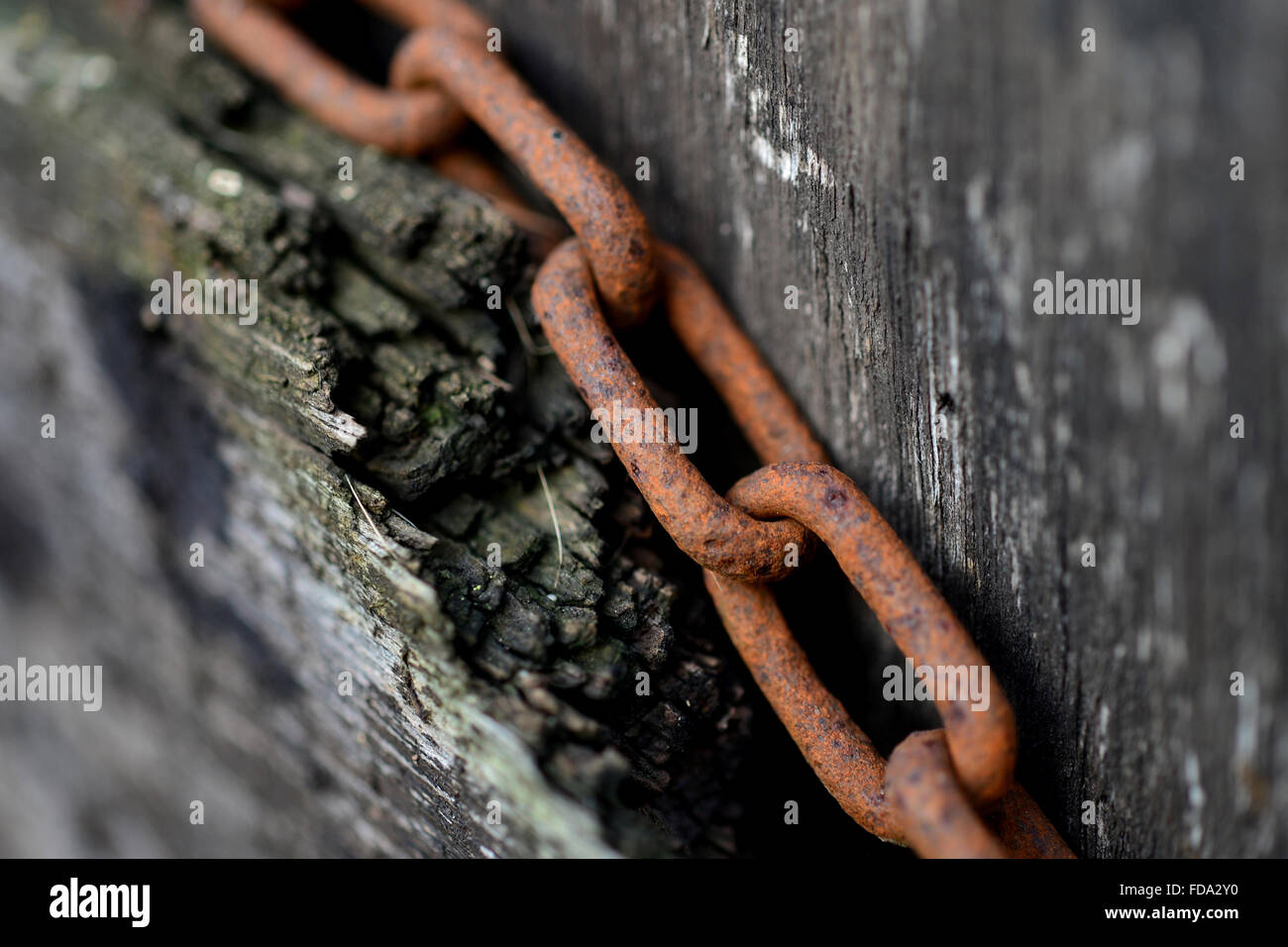 Arnum, Germania, arrugginito catena di ferro Foto Stock