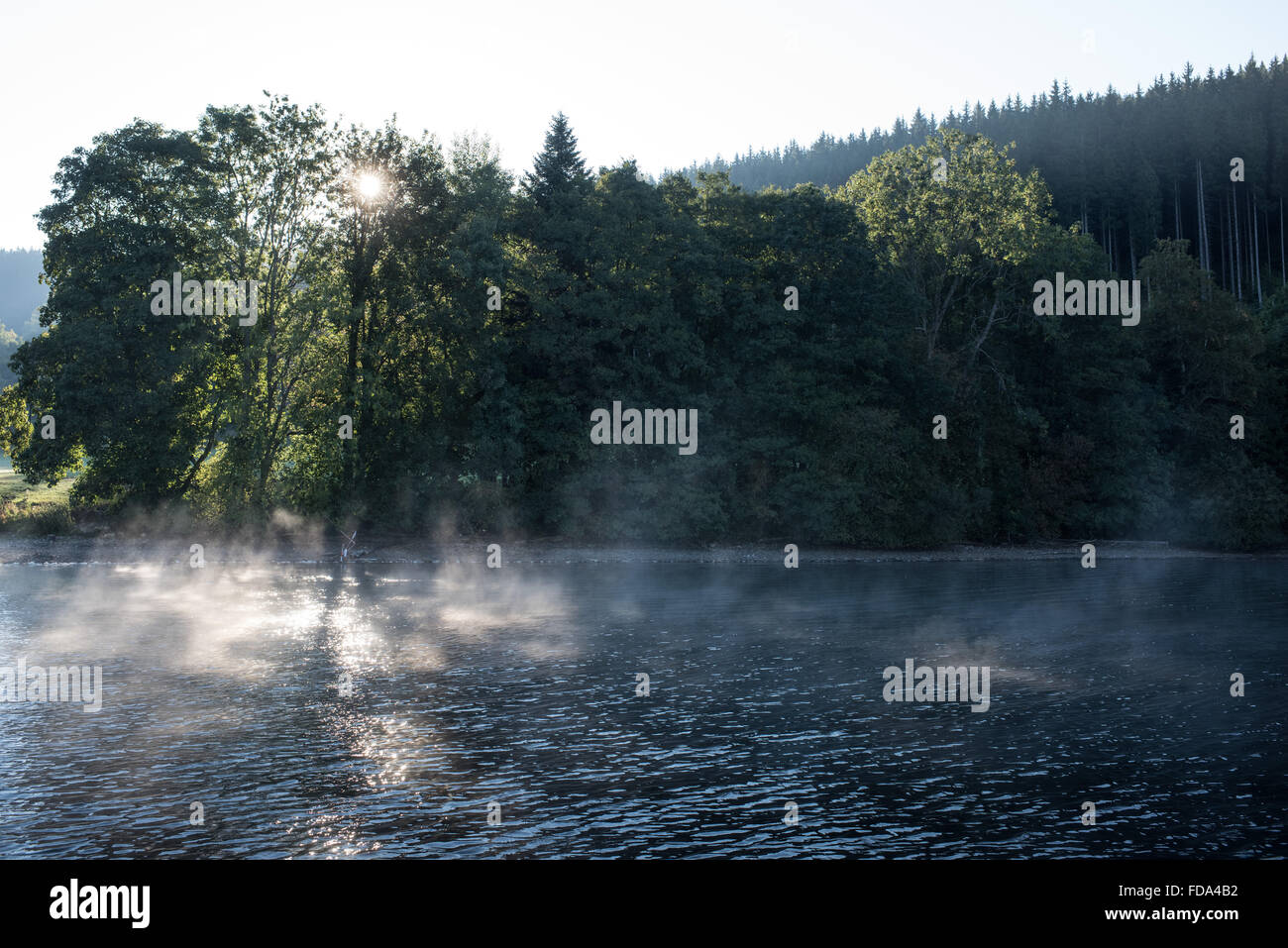 08.20.2015, Titisee, impressioni, Foresta Nera Foto Stock