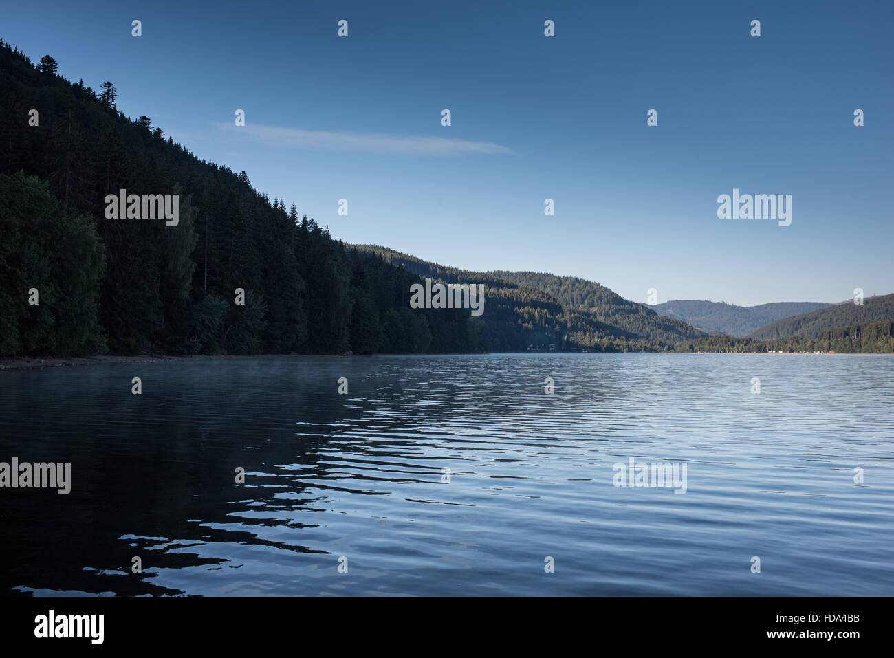 08.20.2015, Titisee, impressioni, Foresta Nera Foto Stock