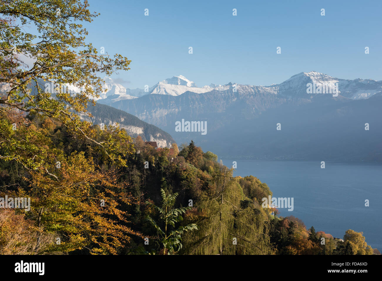 Sigriswil, Svizzera, vista sul lago di Thun Foto Stock