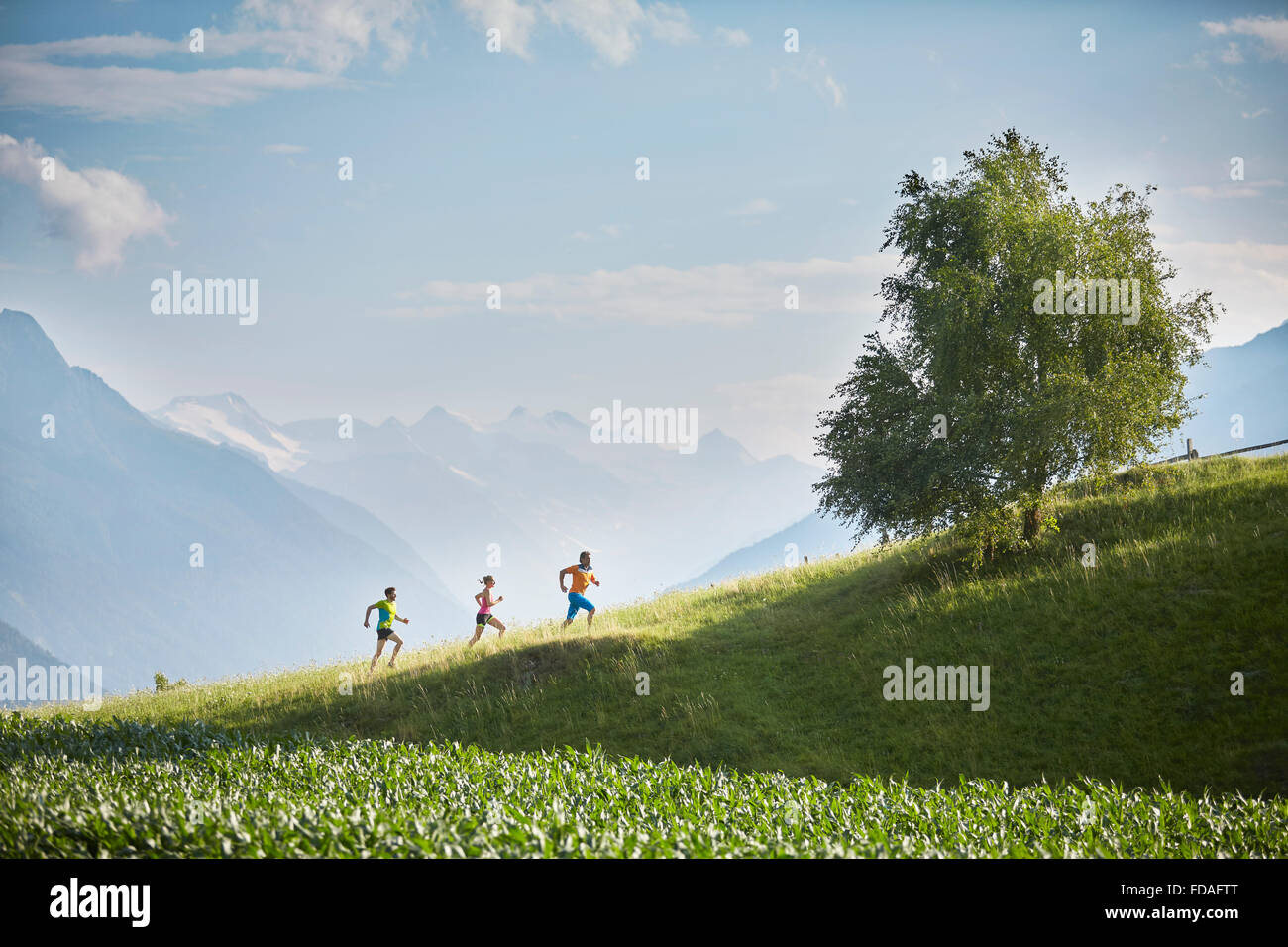 Donna e due uomini in esecuzione su per la collina, il Catinaccio, Alpi dello Stubai dietro, Tirolo, Austria Foto Stock