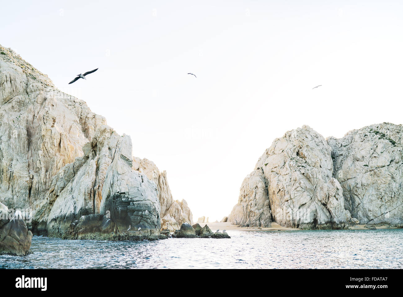 Uccelli che vola sopra l'Oceano Pacifico e le rocce di Cabo San Lucas, Baja California, Messico Foto Stock