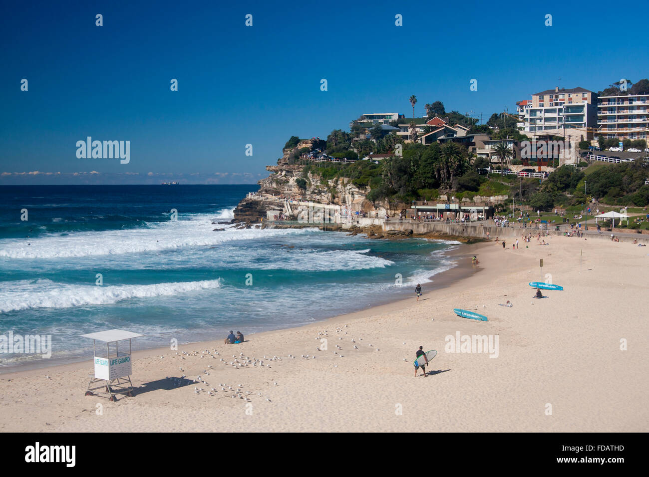 Bronte beach sobborghi Orientali Sydney New South Wales NSW Australia Foto Stock