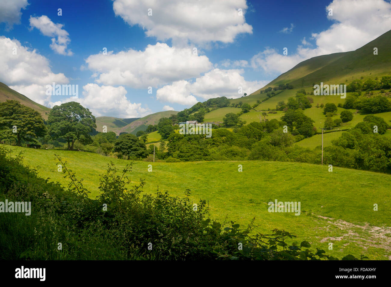 Tipicamente collinare fattoria gallese farmland paesaggi sulla soleggiata giornata estiva vicino a Dinas Mawddwy Gwynedd Mid Wales UK Foto Stock
