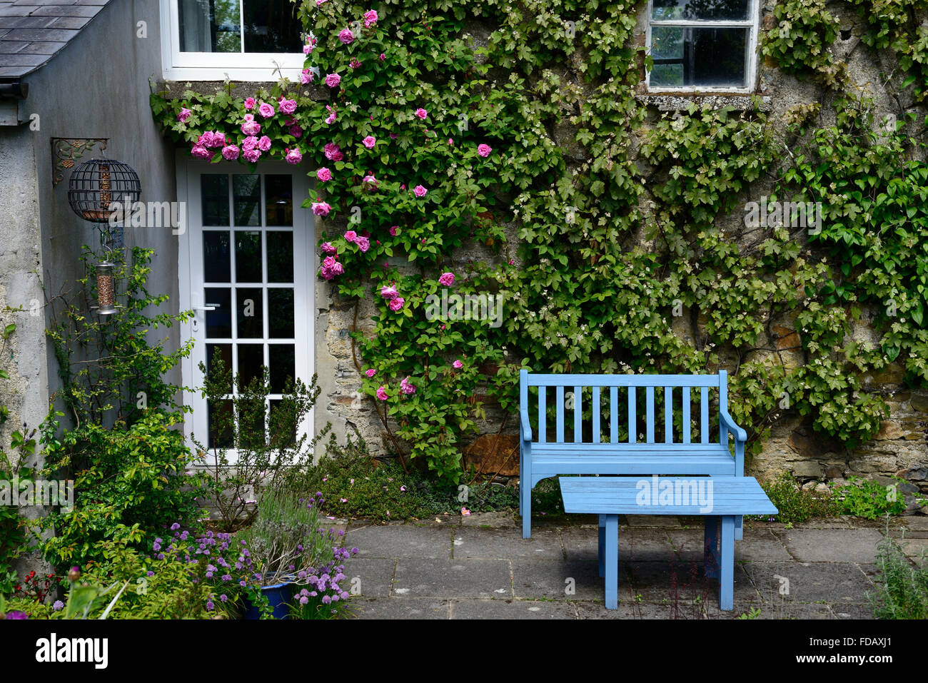 l'area patio con tavolo blu e panca e giardino è dotata di un pezzo centrale RM Floral Foto Stock