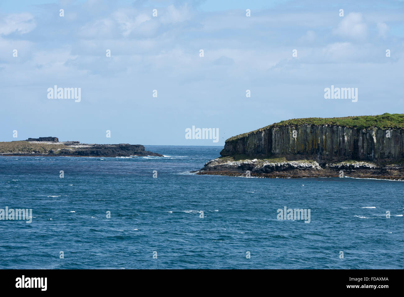 Nuova Zelanda, Auckland isole disabitate arcipelago nell'Oceano Pacifico del sud. Oceano Meridionale vista delle scogliere a Enderby. Foto Stock