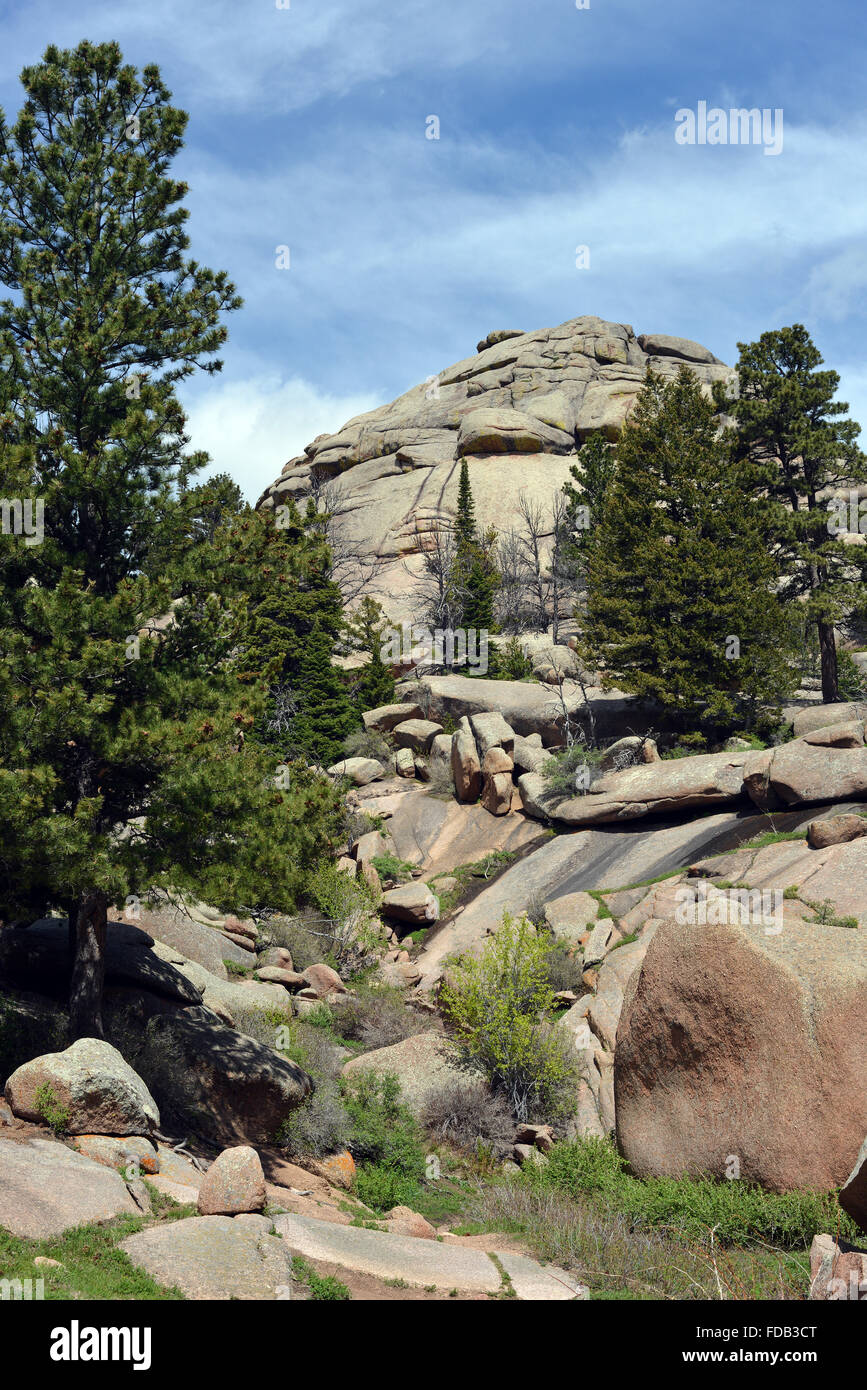 Vedauwoo - affioramenti di roccia di granito Sherman vicino a Laramie, Wyoming usa su una mattina di sole in giugno Foto Stock